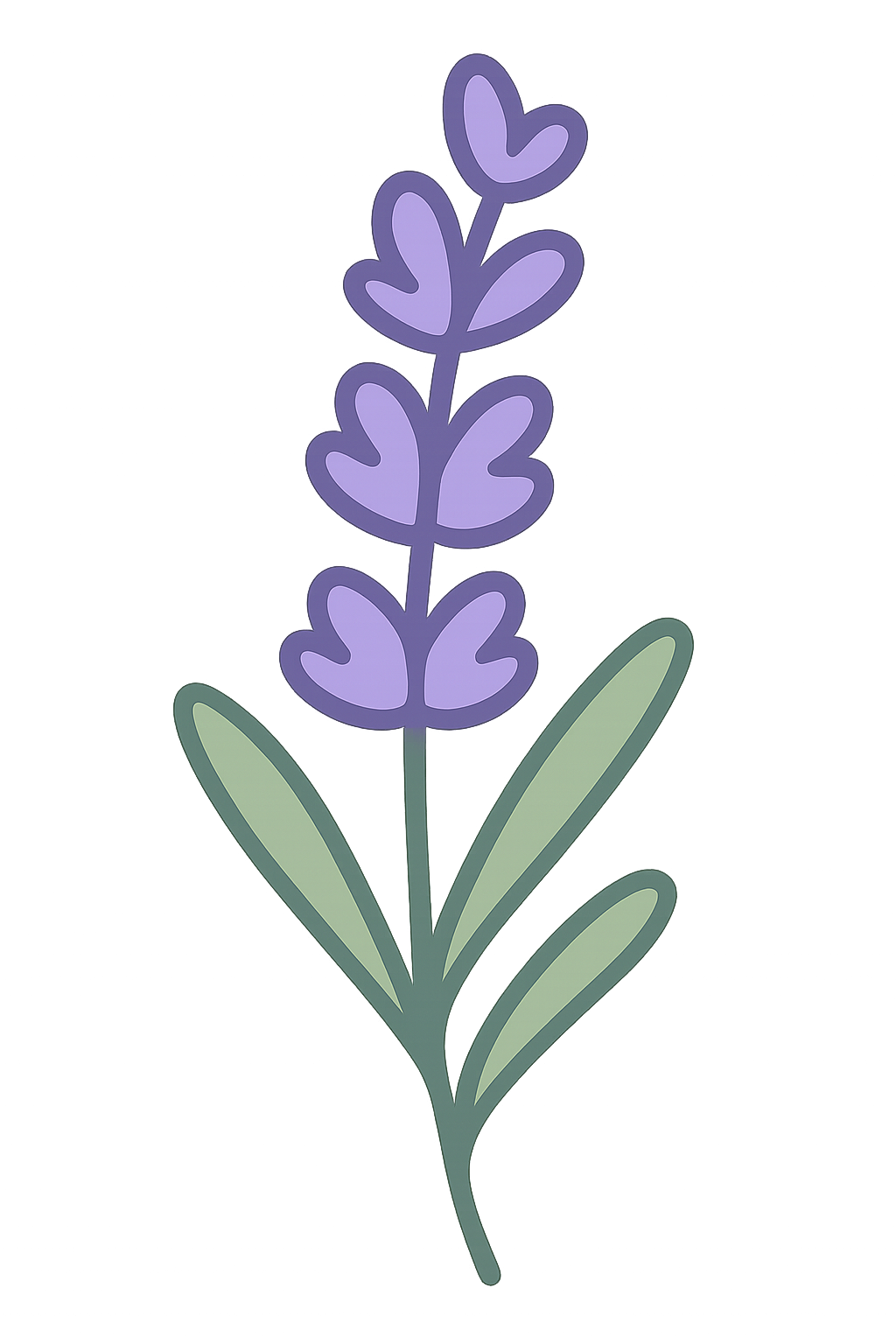 Lavanda
